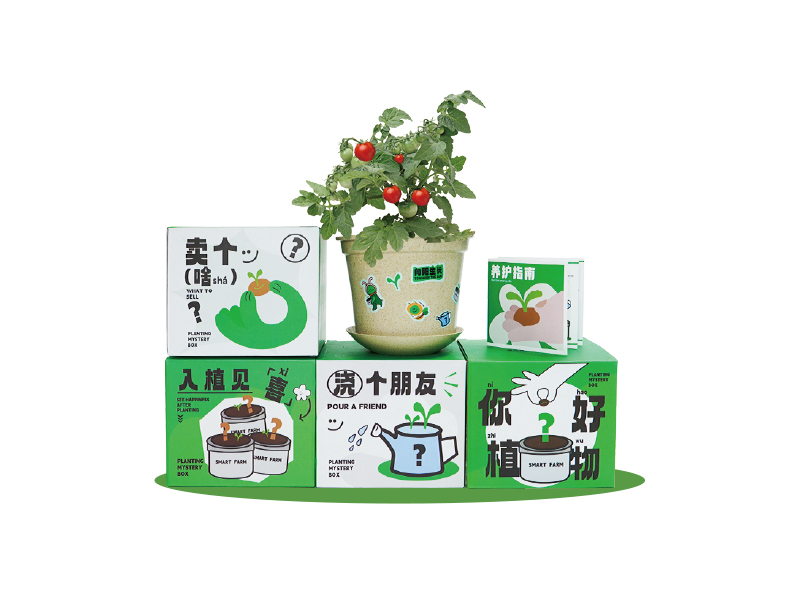 甫甫盒子种植套装